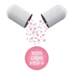 푸응 다이어트의 모든 것 - 원리 및 장점 파악하기