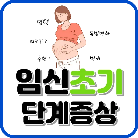 임신 초기 단계 증상 및 주의해야 할 5가지 신체 변화와 대처방법 - 다이어트콜렉트