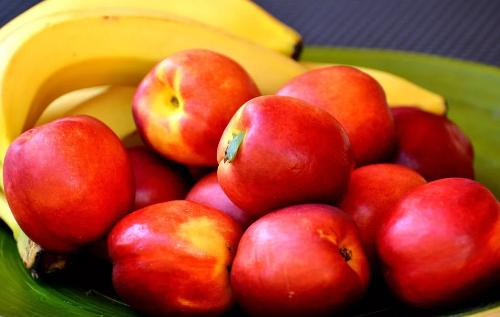 장염 빨리 낫는법과 먹어도 되는 음식, 과일