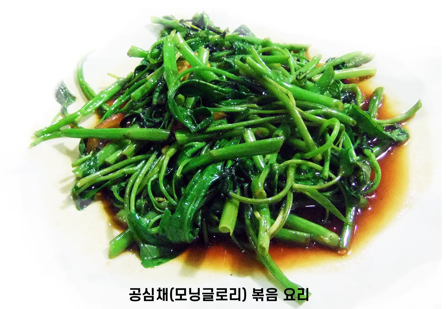 공심채 특징과 볶음 요리