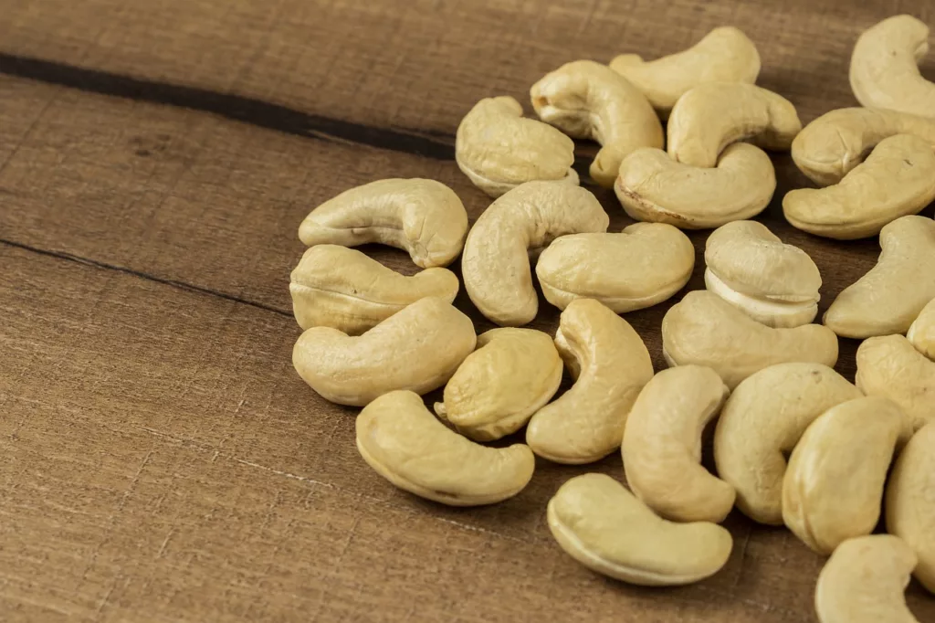 캐슈넛(cashew nuts)