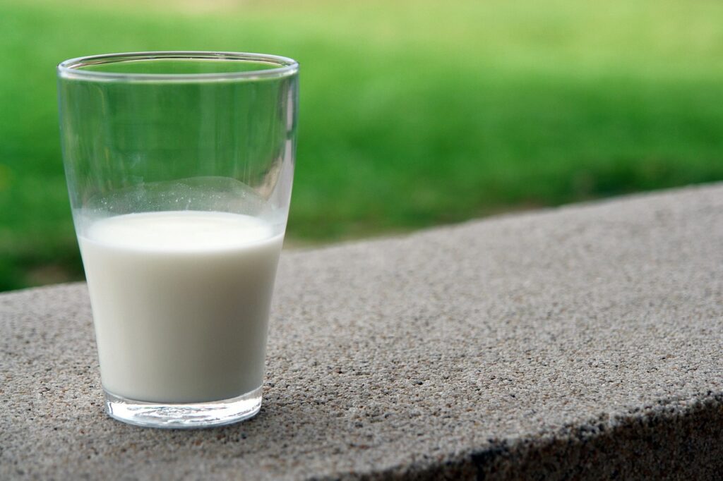 락토페린 다이어트 - 우유에 많은 성분