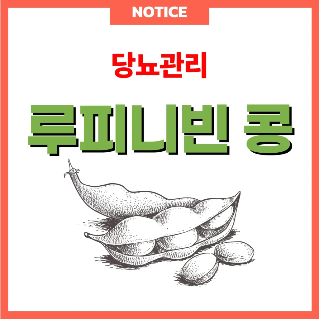 루피니빈 콩 당뇨 관리