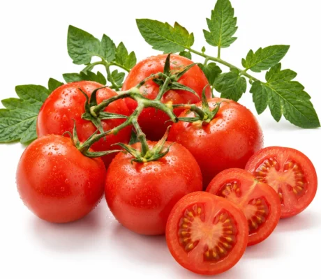 토마토 효능