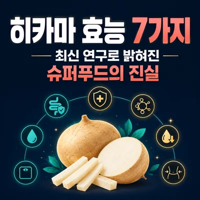 히카마 효능