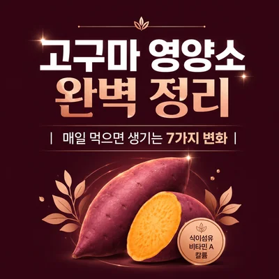 고구마 영양소