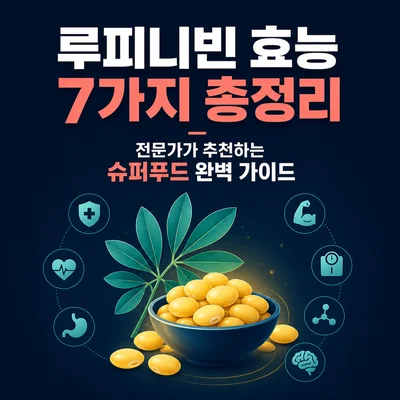 루피니빈 효능